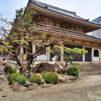 Seishuji Temple Nagoya :: wea *