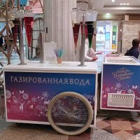 В центральном Детском мире... :: Елена 