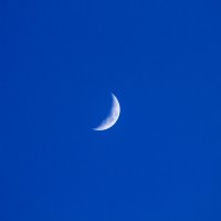 луна :: Alexandr Staroverov