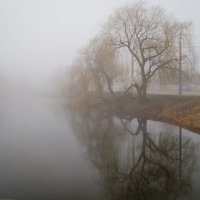 В городе туман :: Андрей 