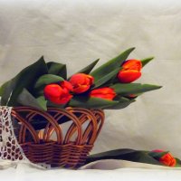 Тюльпаны для женщин. :: nadyasilyuk Вознюк
