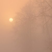 Сквозь туман :: Александр (Алчи) Шерстнёв