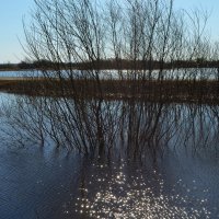 Весеннее половодье :: Вера Андреева