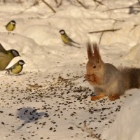 ... :: Светлана Винокурова