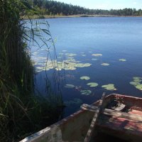 На озере. :: ВАЛЕНТИНА ИВАНОВА