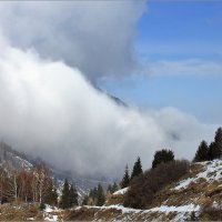 Туман идёт. :: Сергей Савич.