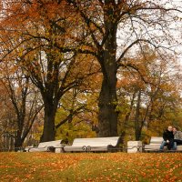 Осень в Таврическом саду :: Юлия Фотолюбитель