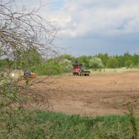 Посевная в поле. :: ВАЛЕНТИНА ИВАНОВА