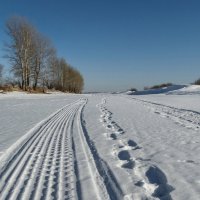 Следы на снегу :: Виктор Четошников