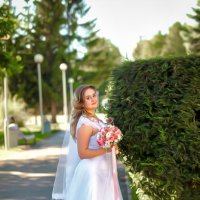 Свадебная фотосессия :: Нина Коршунова