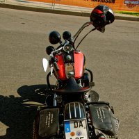 HARLEY DAVIDSON :: Даниил pri (DAROF@P) pri