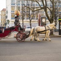 На улицах Берлина :: Александр 