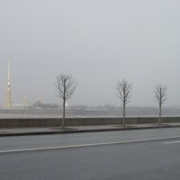 Туман на Дворцовой набережной. Март :: Маера Урусова