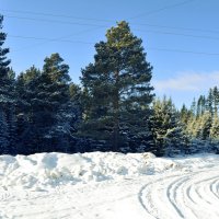 Места где нет помоек :: Виктория Большагина