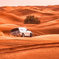 Сафари на джипах по пустыне :: Владимир Горубин