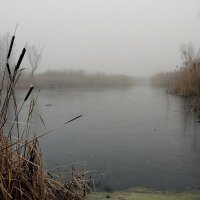 Утренний туман :: Роман Савоцкий