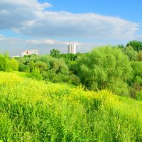 Юго-запад Москвы. :: Александр Атаулин