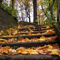 Лестница в осень... :: Павел Зюзин