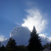 Пушистое облако :: Надежда 