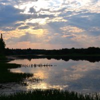 Летний закат :: Вера Андреева