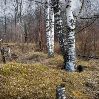 За городом :: Марина Ломина