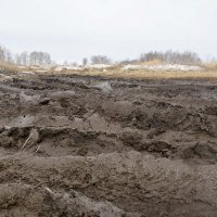 Бездорожье.. :: Дмитрий Петренко