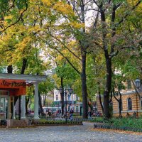 Ноябрь в Городском саду. :: Вахтанг Хантадзе