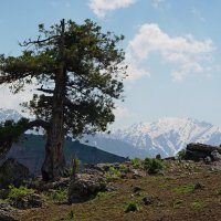 ДОЛИНА КУЛОСЬИ. АРЧА. :: Виктор Осипчук