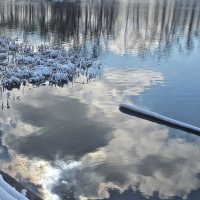 «Немного солнца в холодной воде» :: Елена 