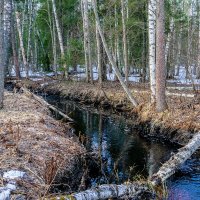 Половодье 1 :: Борис Устюжанин