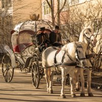 Ты точно двор не перепутала? А время? :: Владимир Гилясев