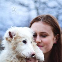 Собака - друг человека :: Каролина Савельева