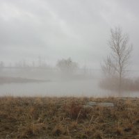 туман в половодье :: Оксана К 