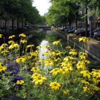 Цветы над каналом :: Grey Bishop