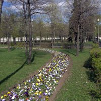 Пришла весна :: Валерий Самородов