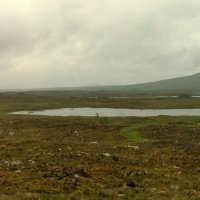 Шотландские болотные пустоши Раннох Мур :: Марина Домосилецкая