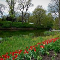 Planten un Blomen. Hamburg :: Nina Yudicheva