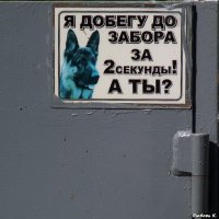 Я добегу до забора за 2 секунды! А ты... ?) :: Любовь К.