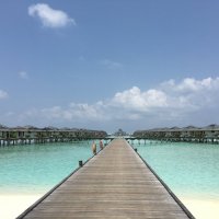 Мальдивы. :: Татьяна Калинкина