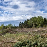 Как выглядит жадность... :: Владимир Безбородов