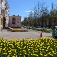 Великие Луки. На проспекте Ленина, май 2017... :: Владимир Павлов