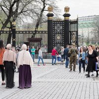 пройти сквозь ворота :: Олег Лукьянов