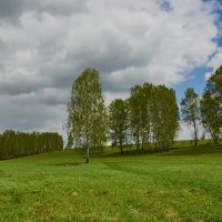 Весна :: Николай Мальцев