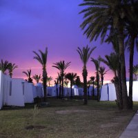 Тунисские закаты :: Марина 