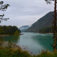 Заводь на Катуни у с.Муны. :: Валерий Медведев