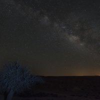 Desert stars :: Michael & Lydia Militinsky