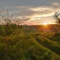 Вечер :: Женя Лузгин