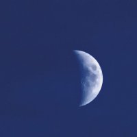 Восход луны :: Елена Баландина
