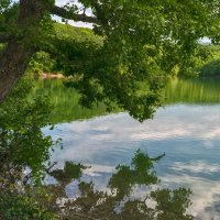 Над водой :: Игорь Кузьмин