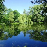 Уголок парка в утренних красках :: Маргарита Батырева